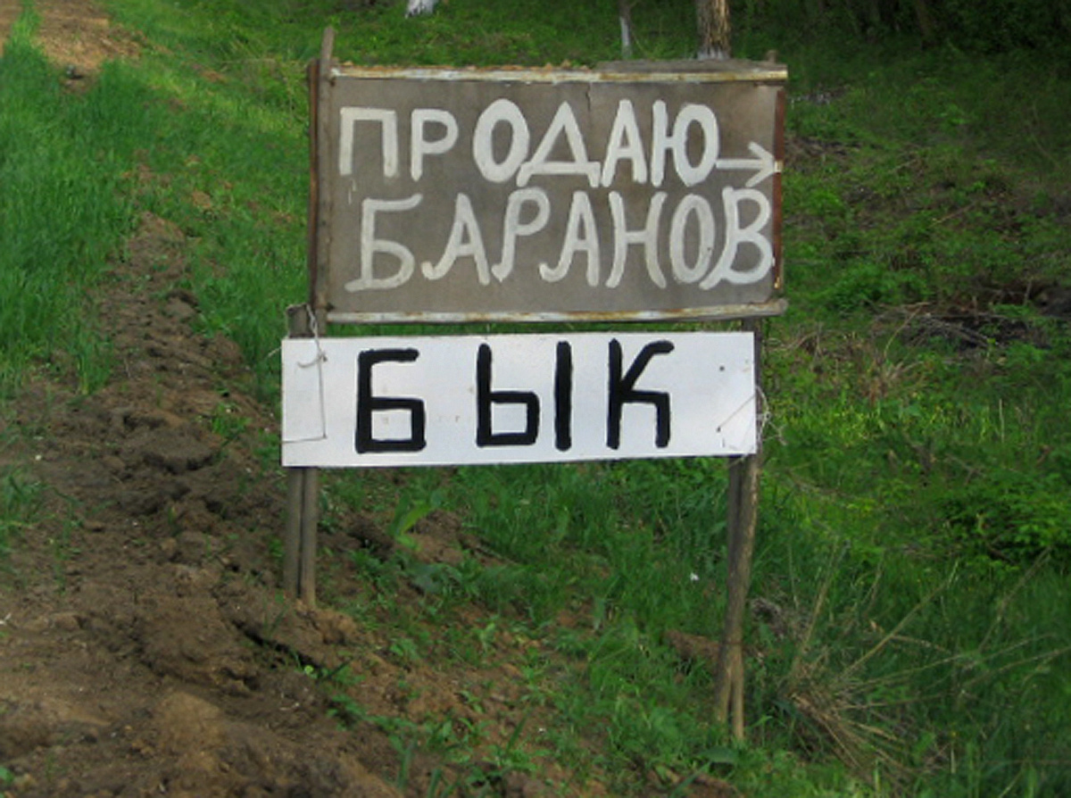 Ушёл в торговлю. 