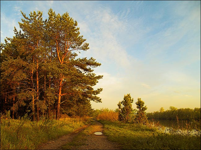 Дорога. 