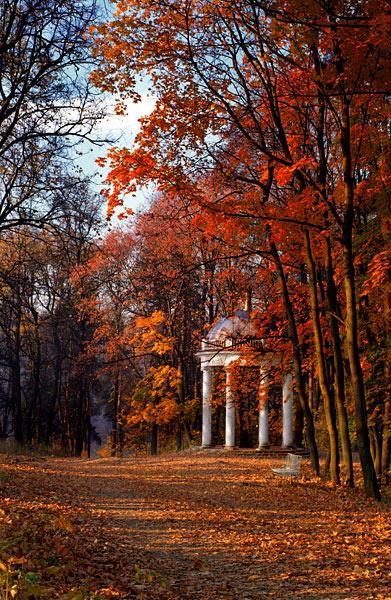 Беседка осень, беседка