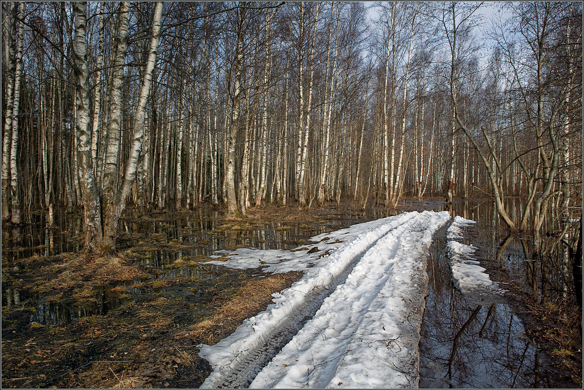 трупик зимы 