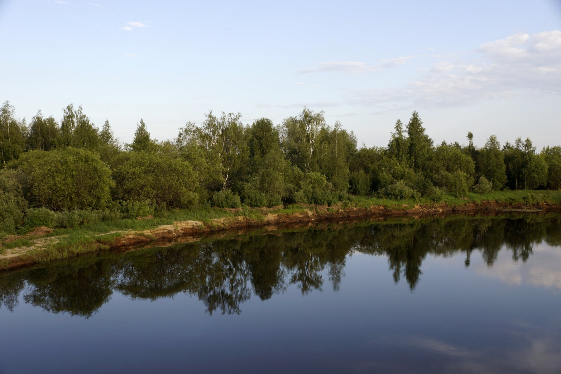 Река Уводь. Река, Лес, Берег, Отражение, Вода