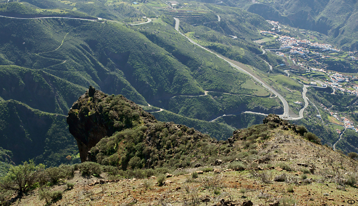 паутина 
