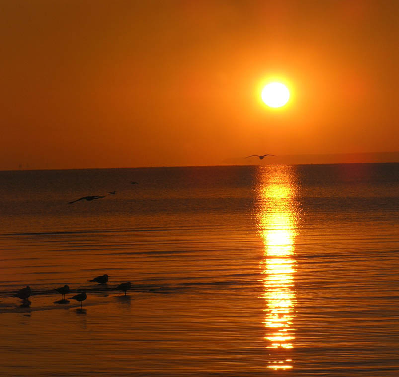 AzoV море