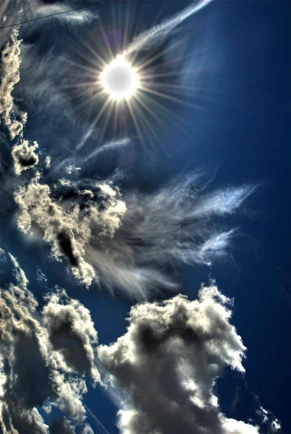 horses nature sky