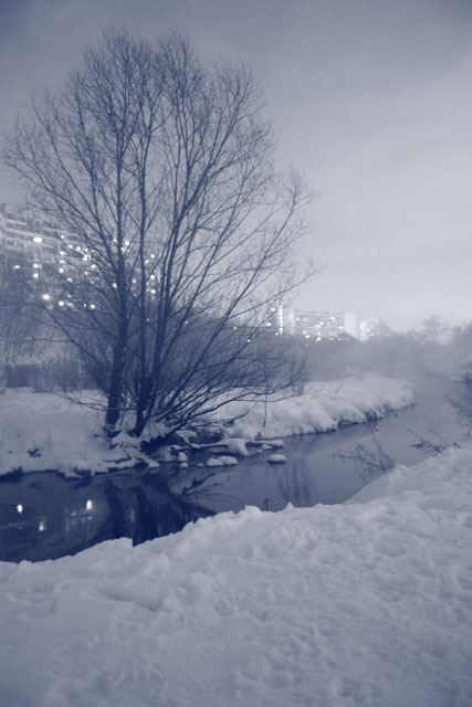 Дерево 