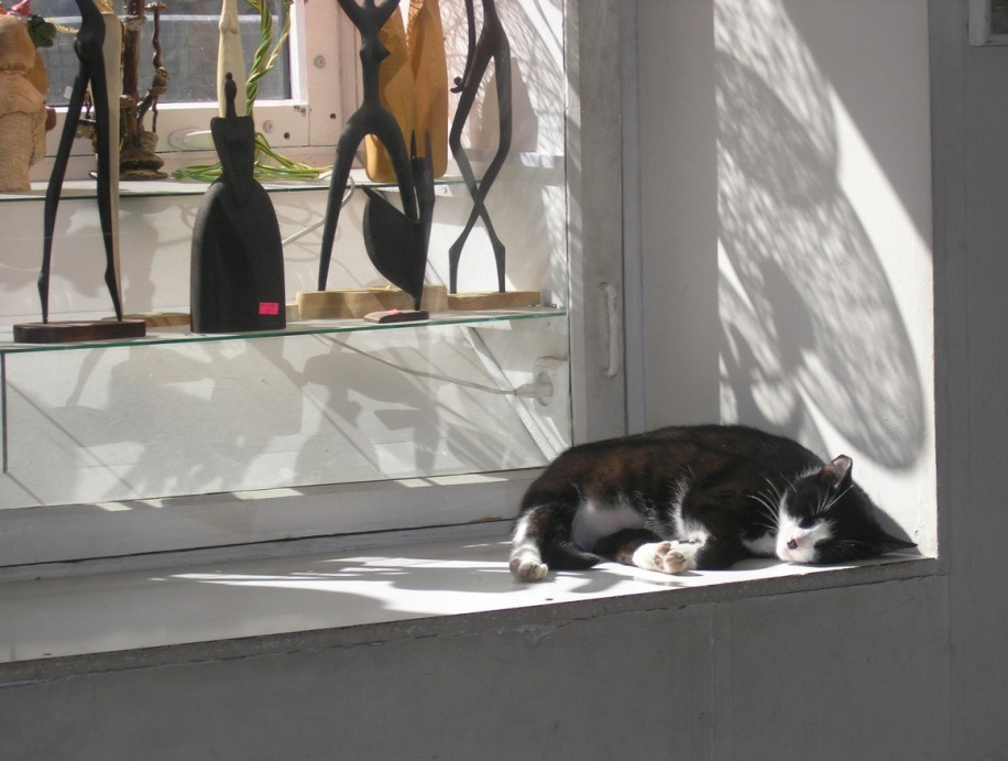 Свет и сон кота Борея кот, свет