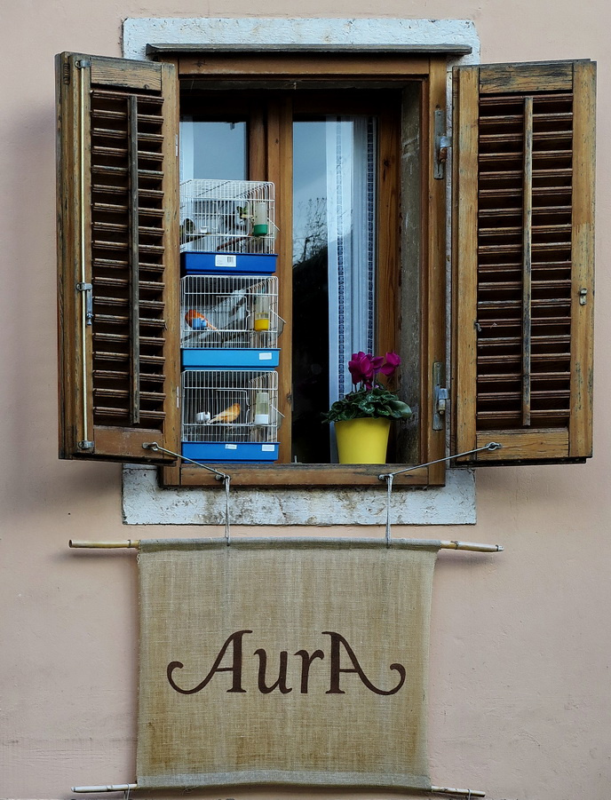 ptići i cvijeće 