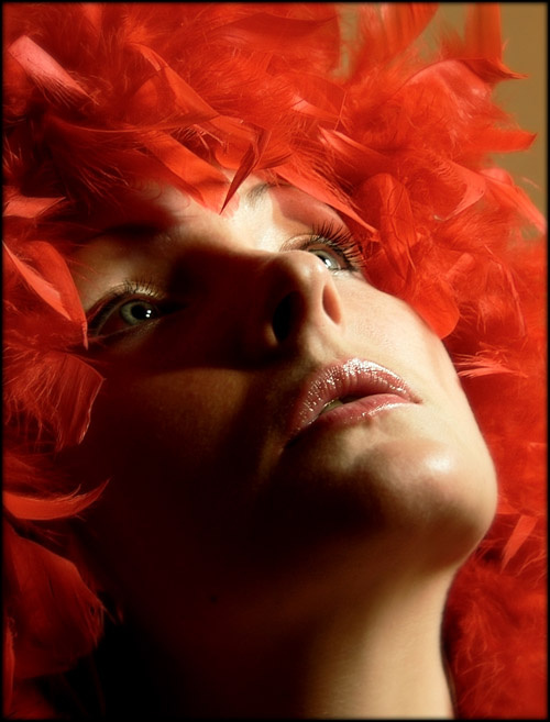 simply red 