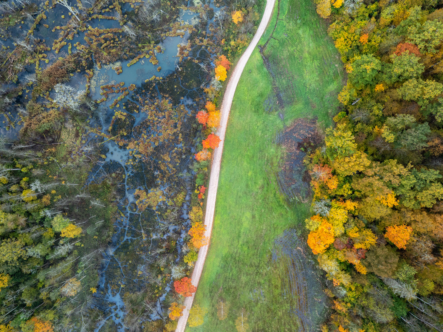 Осень наступает 