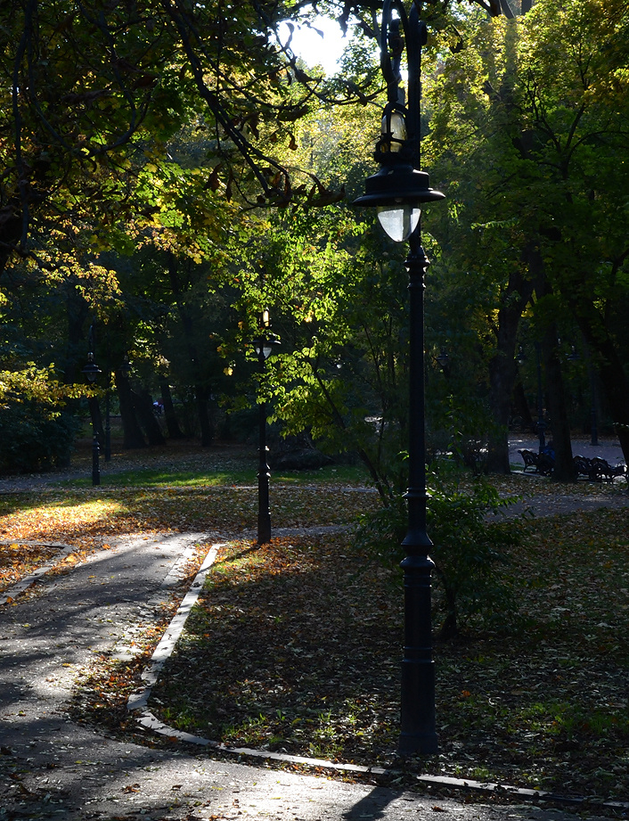 Осенняя зарисовка 3 природа осень город львов