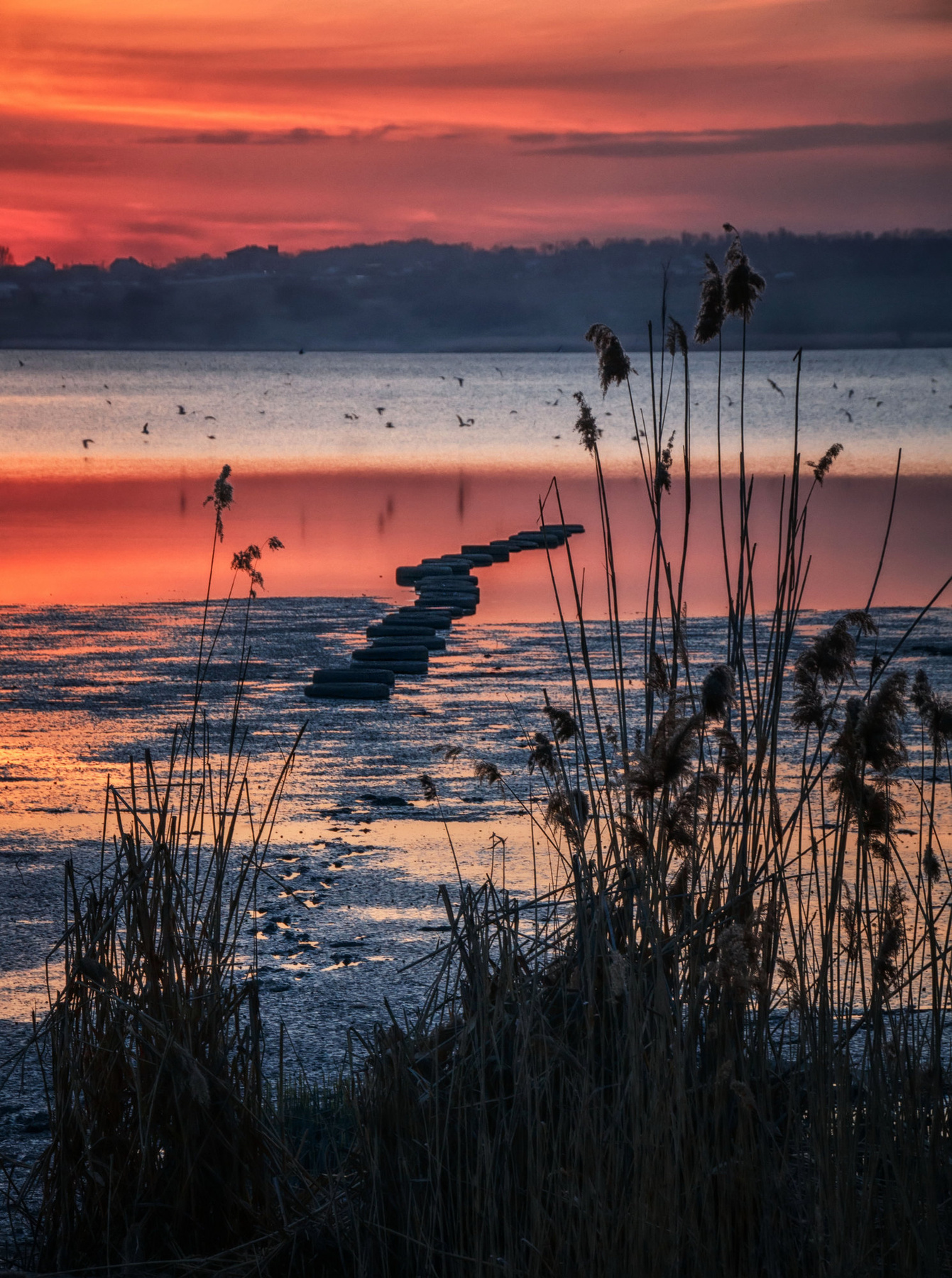 *** рассвет природа река пейзаж закат море
