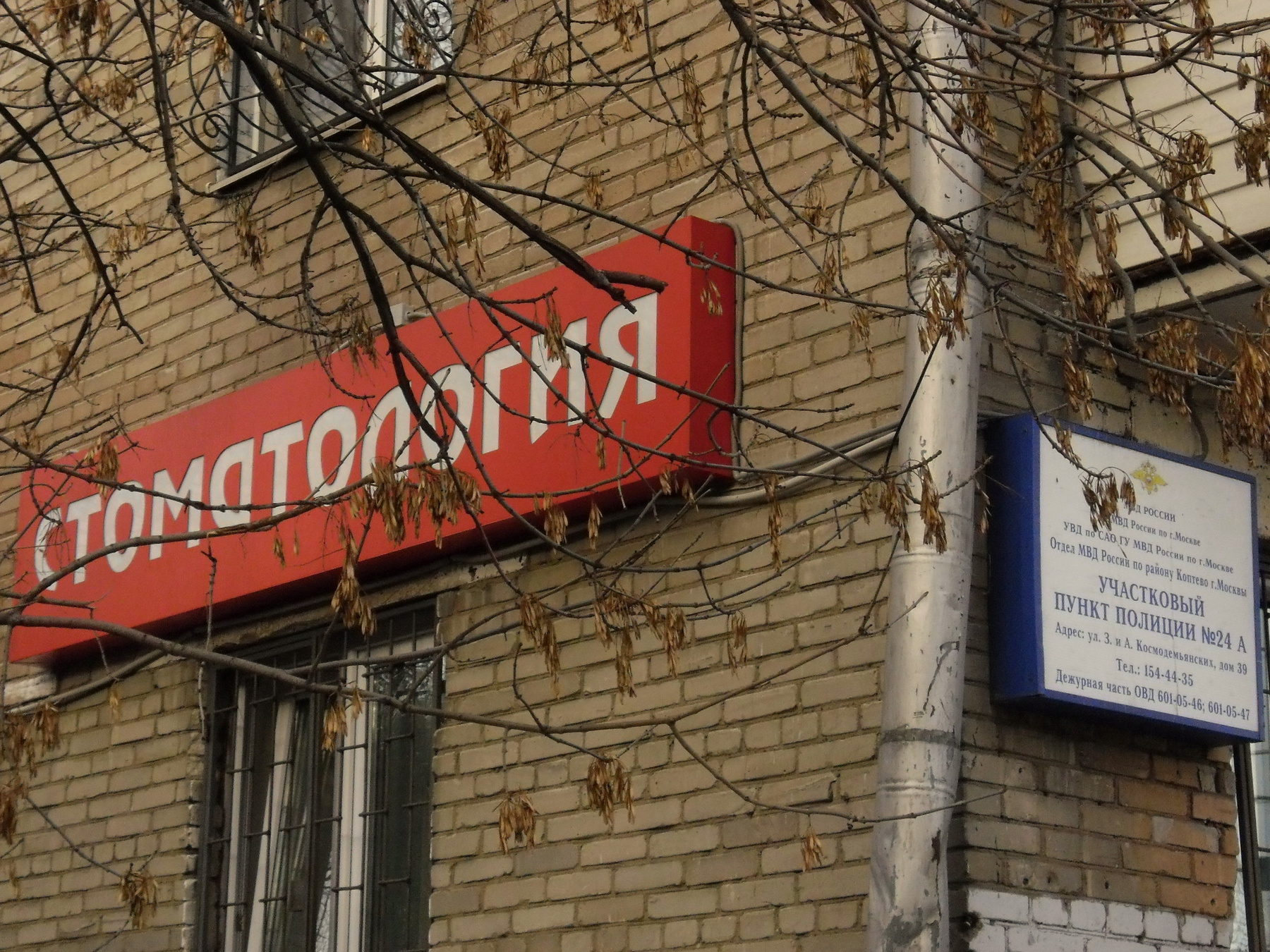 Правильно повесили юмор, стоматология, россия, прикол, полиция, москва, коптево, вывеска