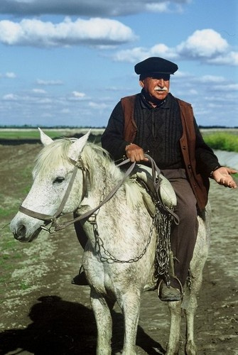 Всадник на белом коне-1 люди кони всадник