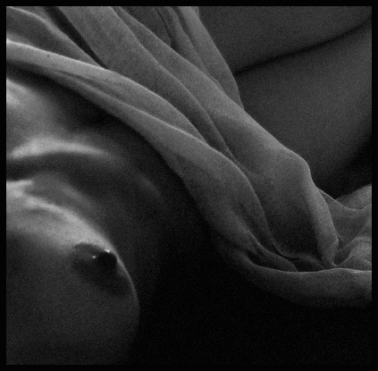 N/N 