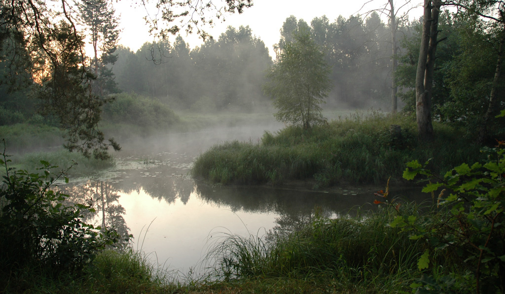 Утро №16 