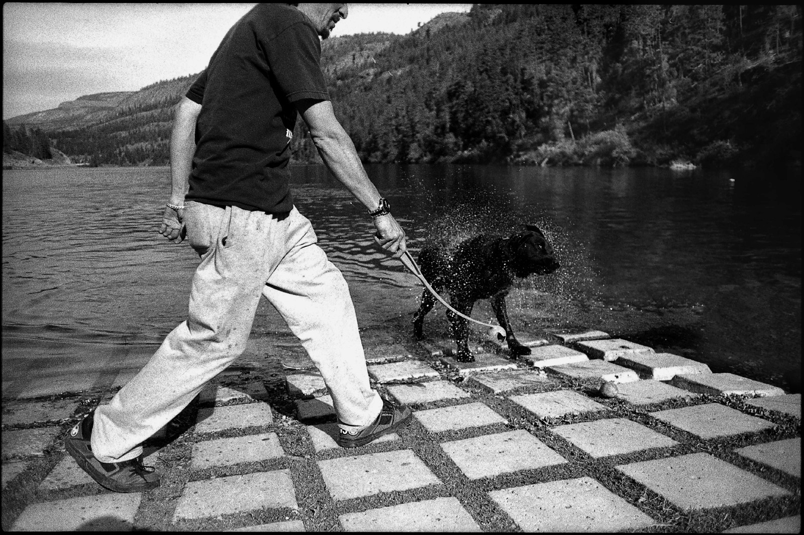 *** scan film