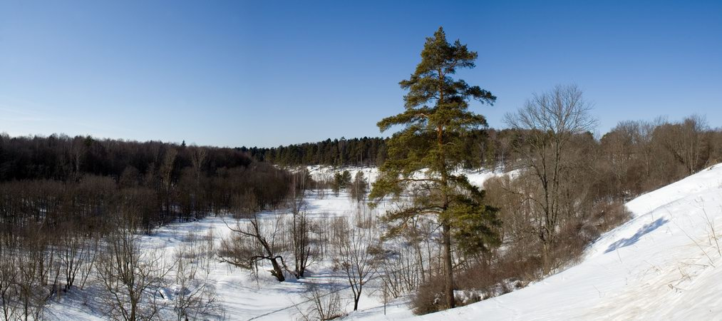 Ранней весной пейзаж весна Подмосковье