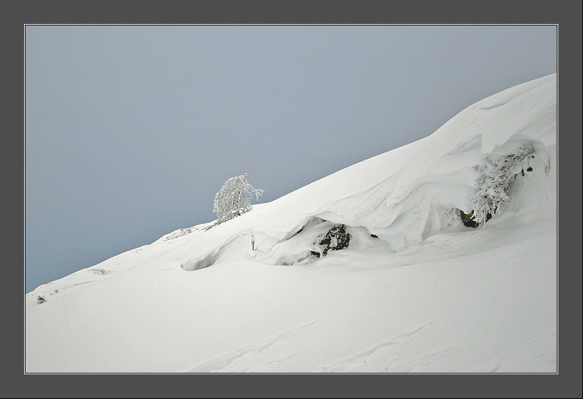 Solitude... cold... зима Хибины