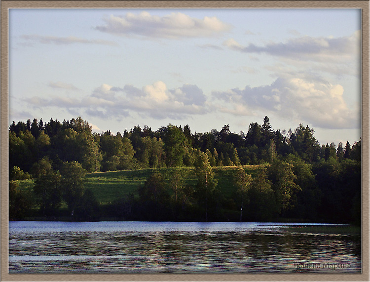 Каменка, Новгородская область лес, озеро, Новгородская область