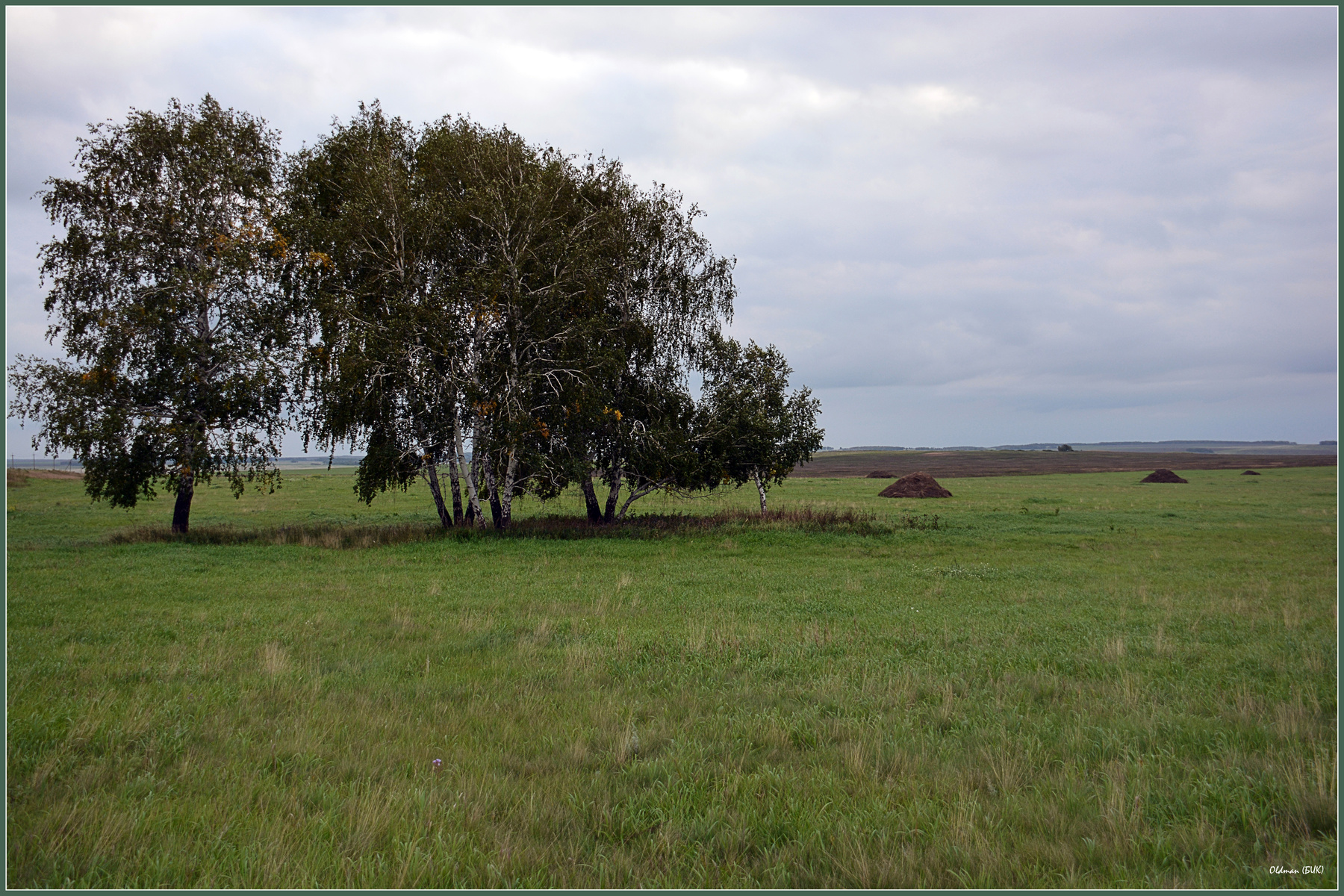 Краски осени 8 осень