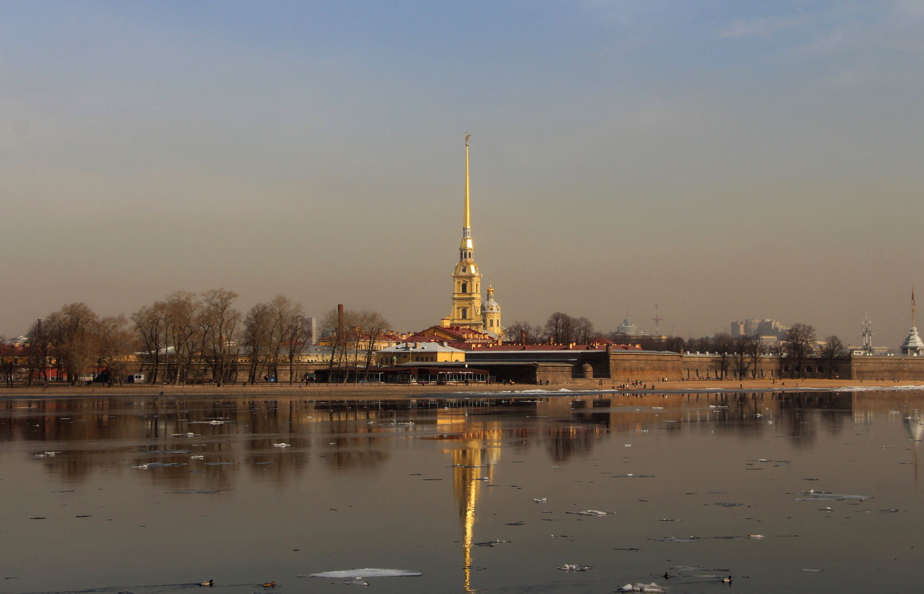 Доминанта 