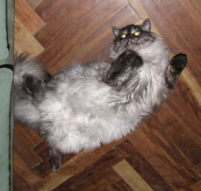 Танцы!!! 