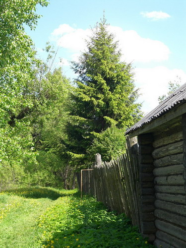 Деревня 