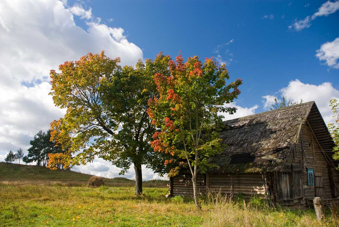 *** осень, небо, сарай