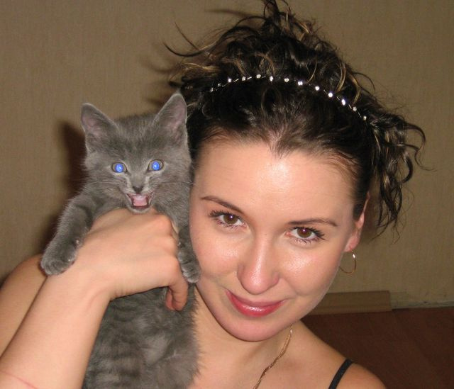Я вас съем Кошка животные котенок кошечка кот либимая