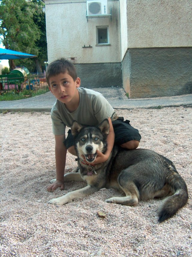 Friends 2 friends dog
