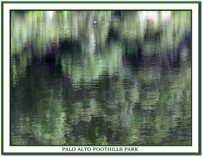 Reflection 