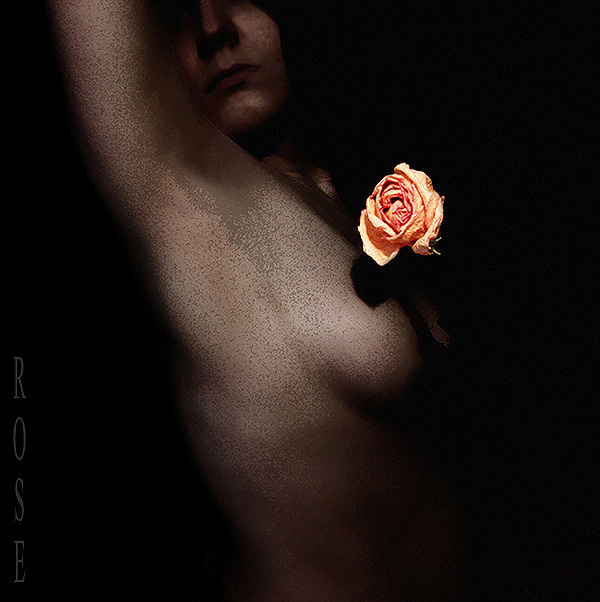 Rose rose darkness she