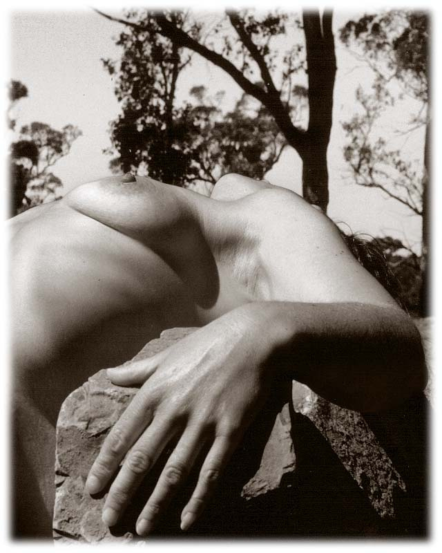 Rock Study 
