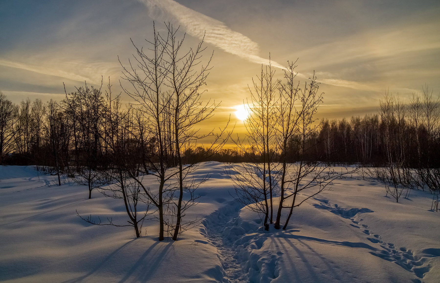 03 Февраля 