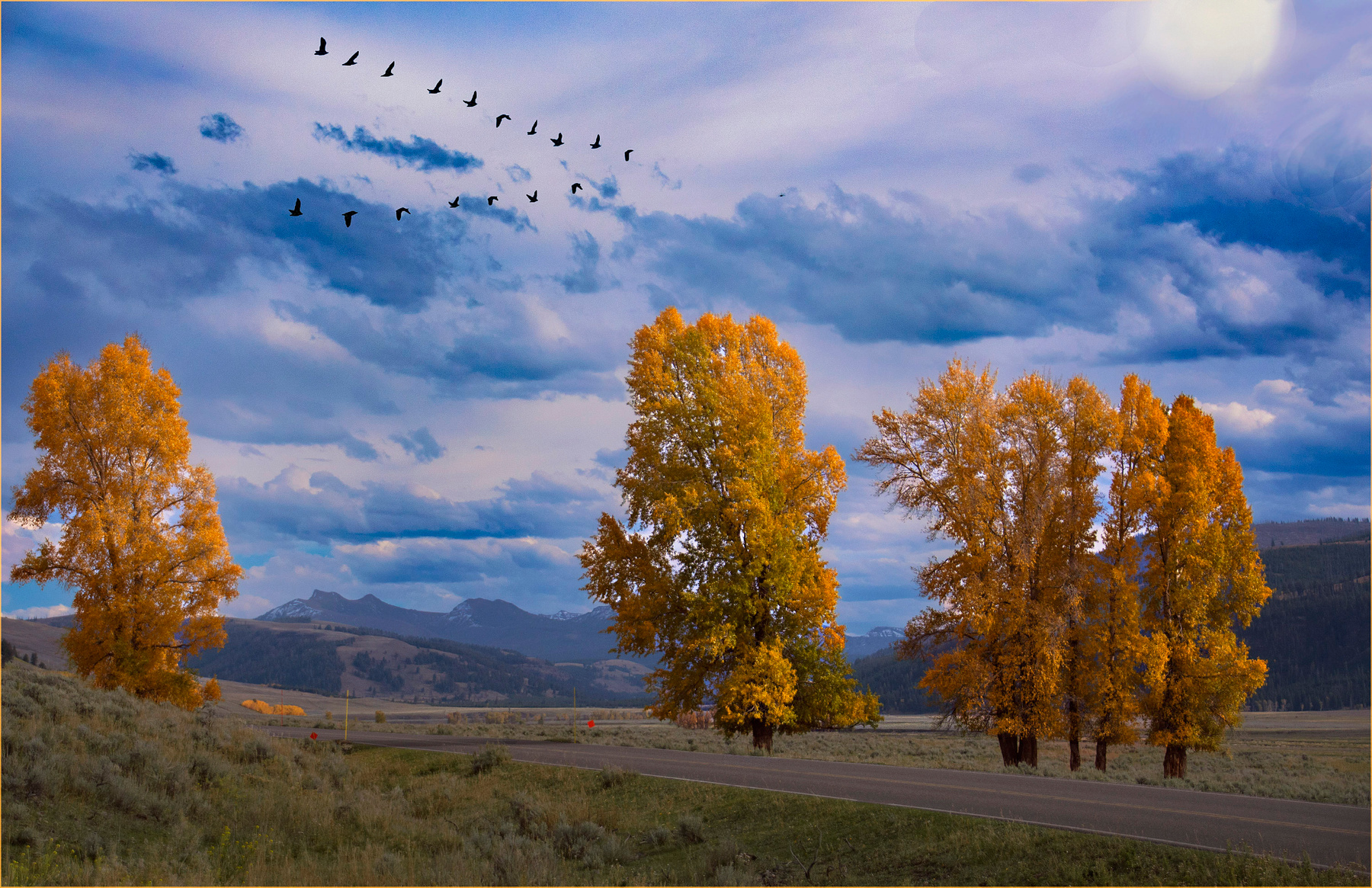 ***//lamar valley  , долина Ламар 