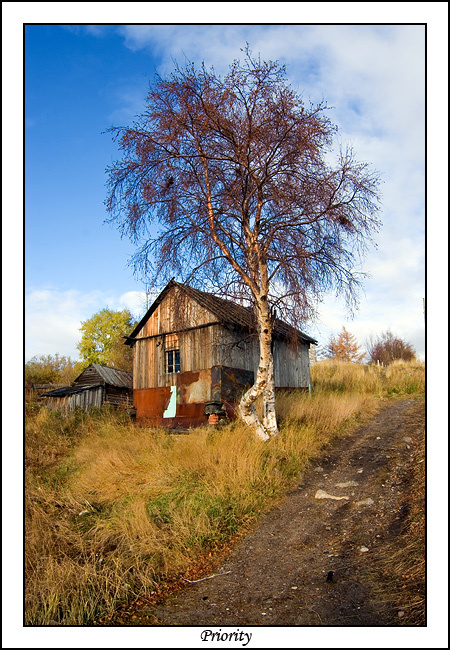 ~Рублевка-лайв~ Кандалакша осень береза домик