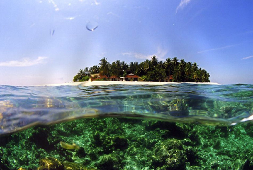Maldives 