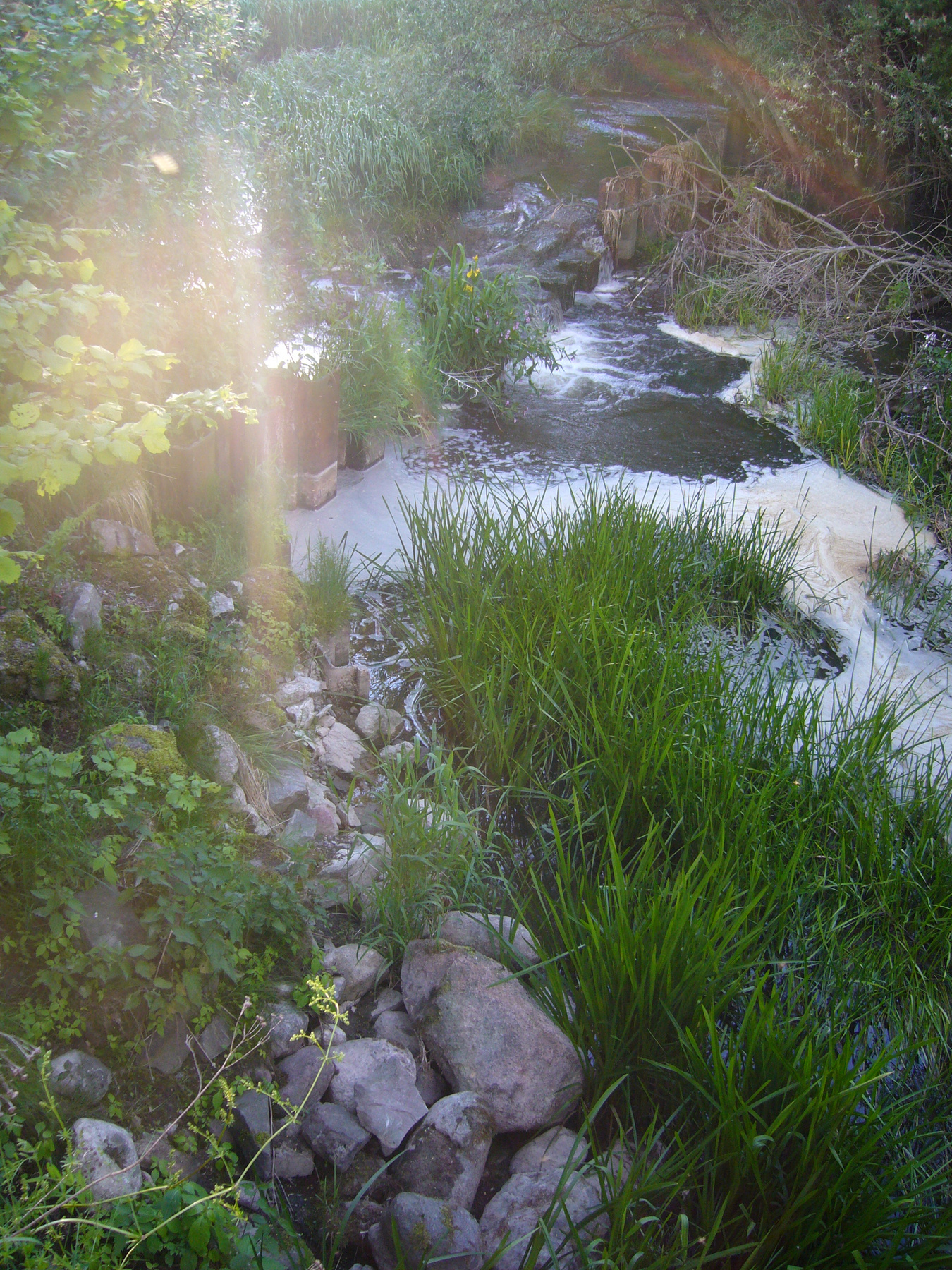 Tiny waterfall 