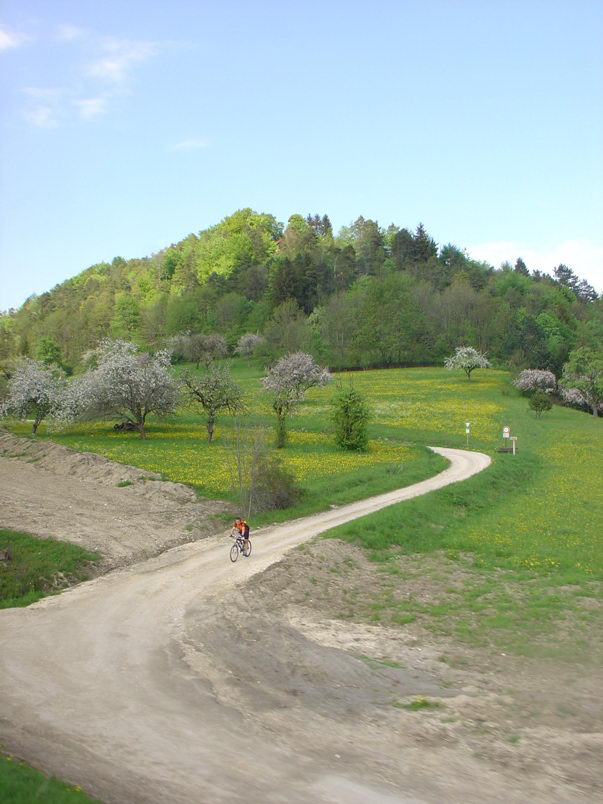 прогулка прогулка, велосипед
