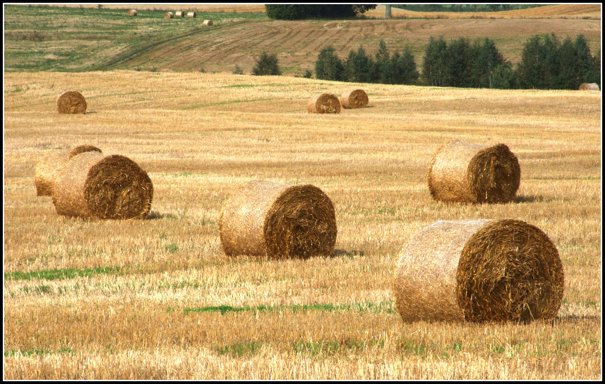 seljskij... Latgale
