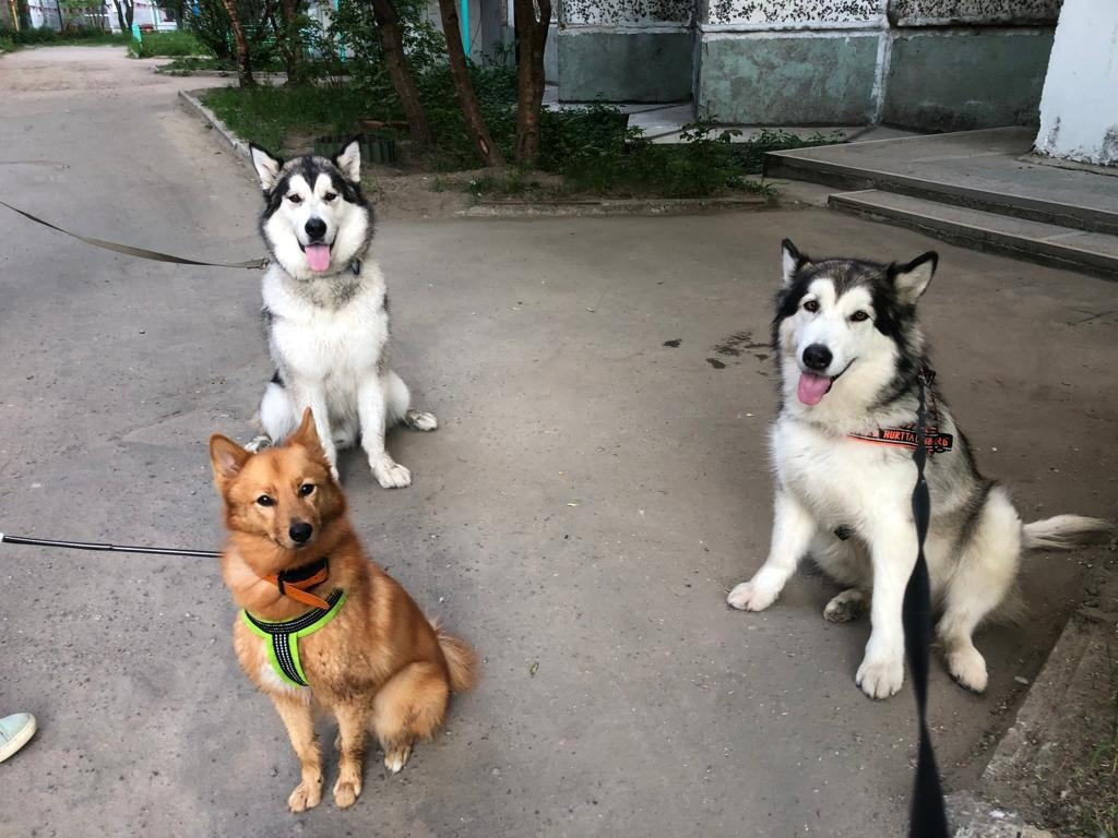 Зевс Донна и Юта 