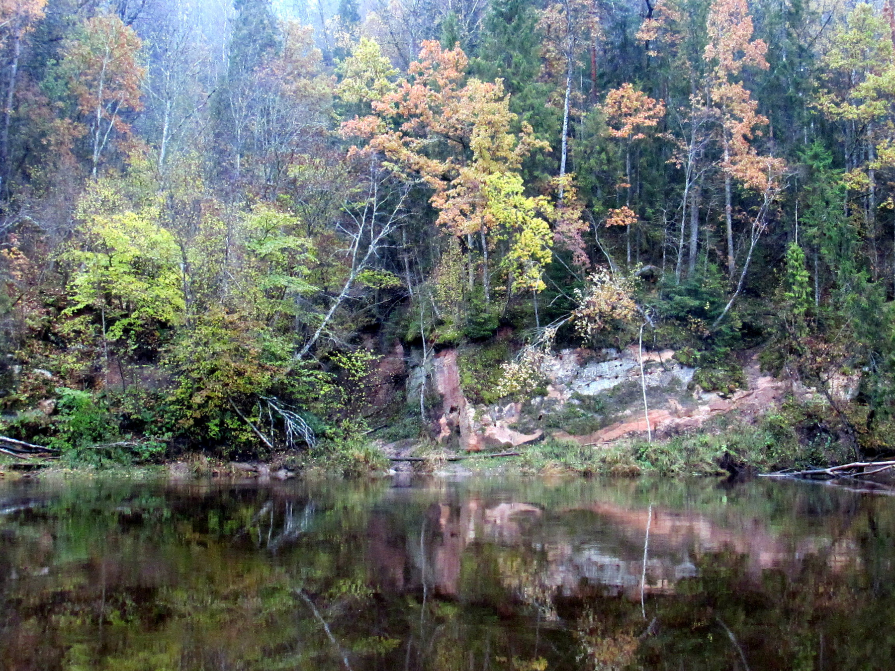 *** река.деревья.туман.30.10.2023