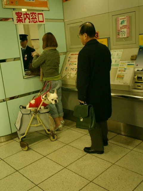 J-dog 