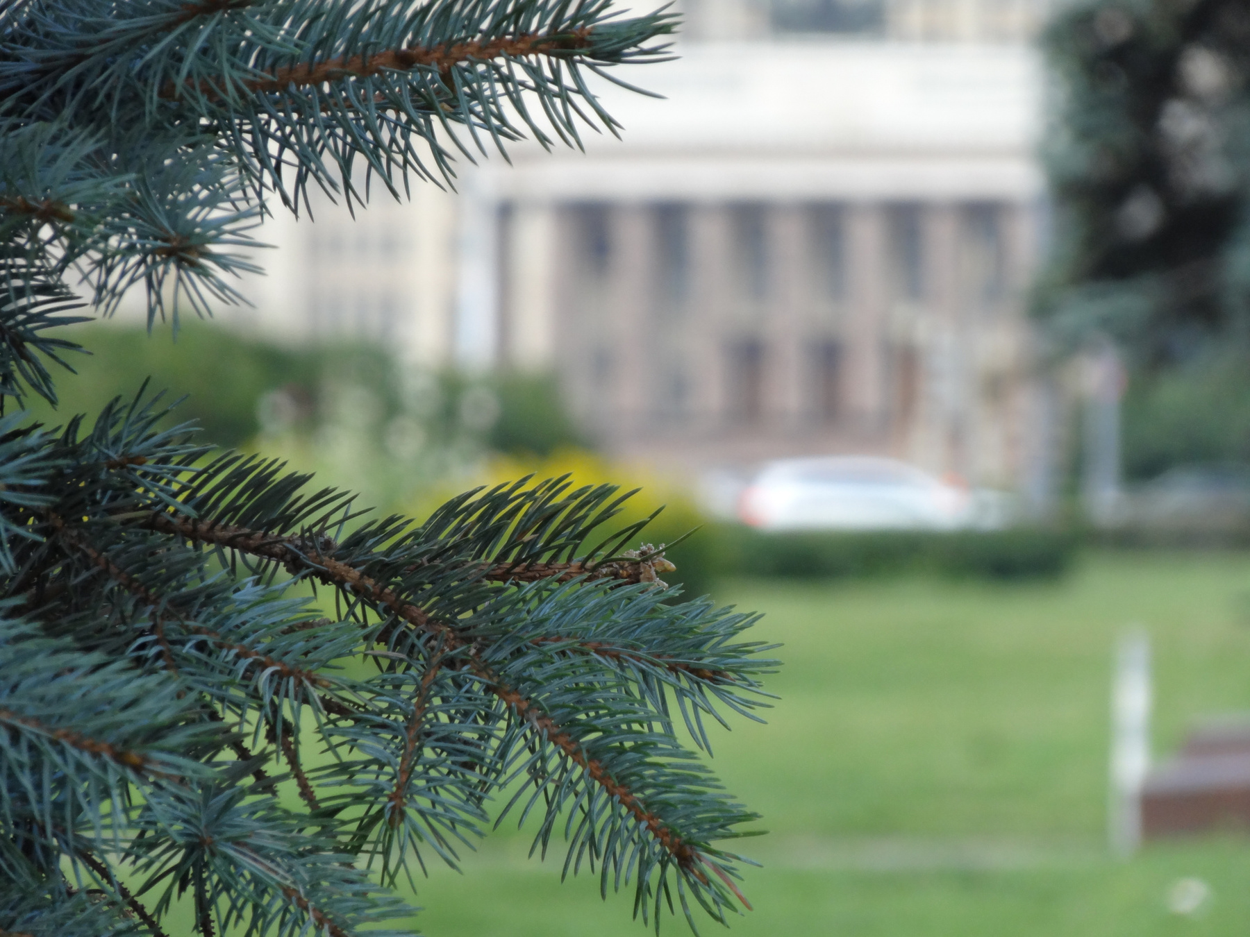 у МГУ Москва