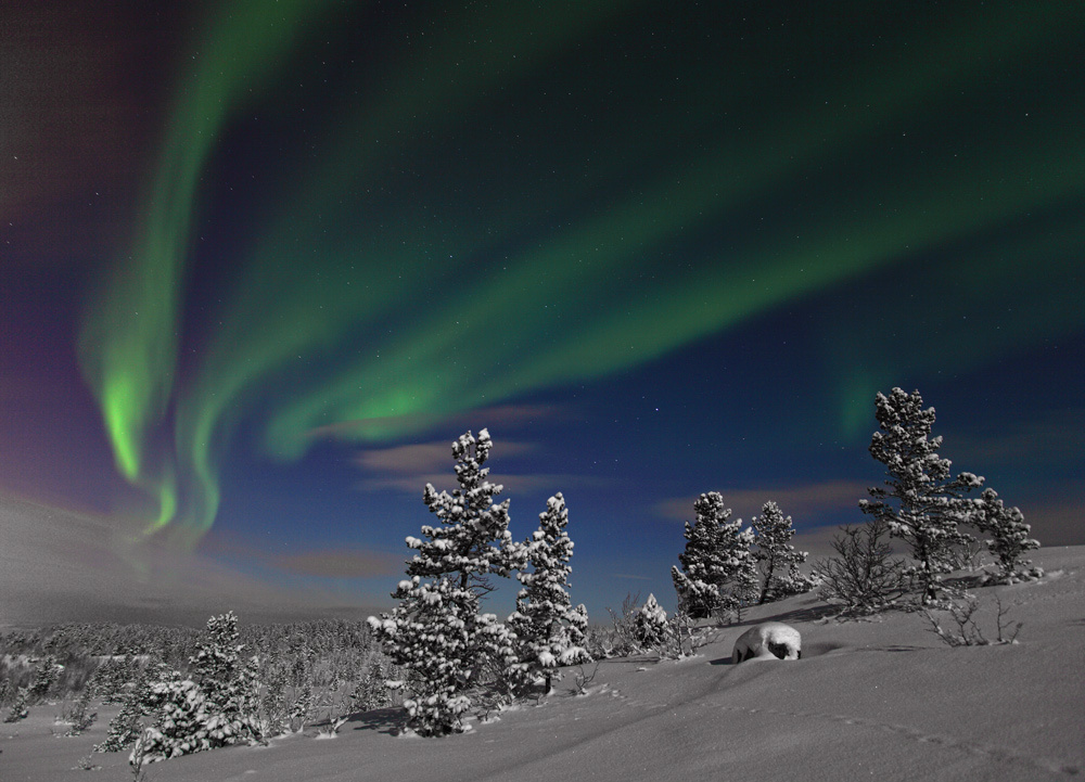 Aurora borealis 