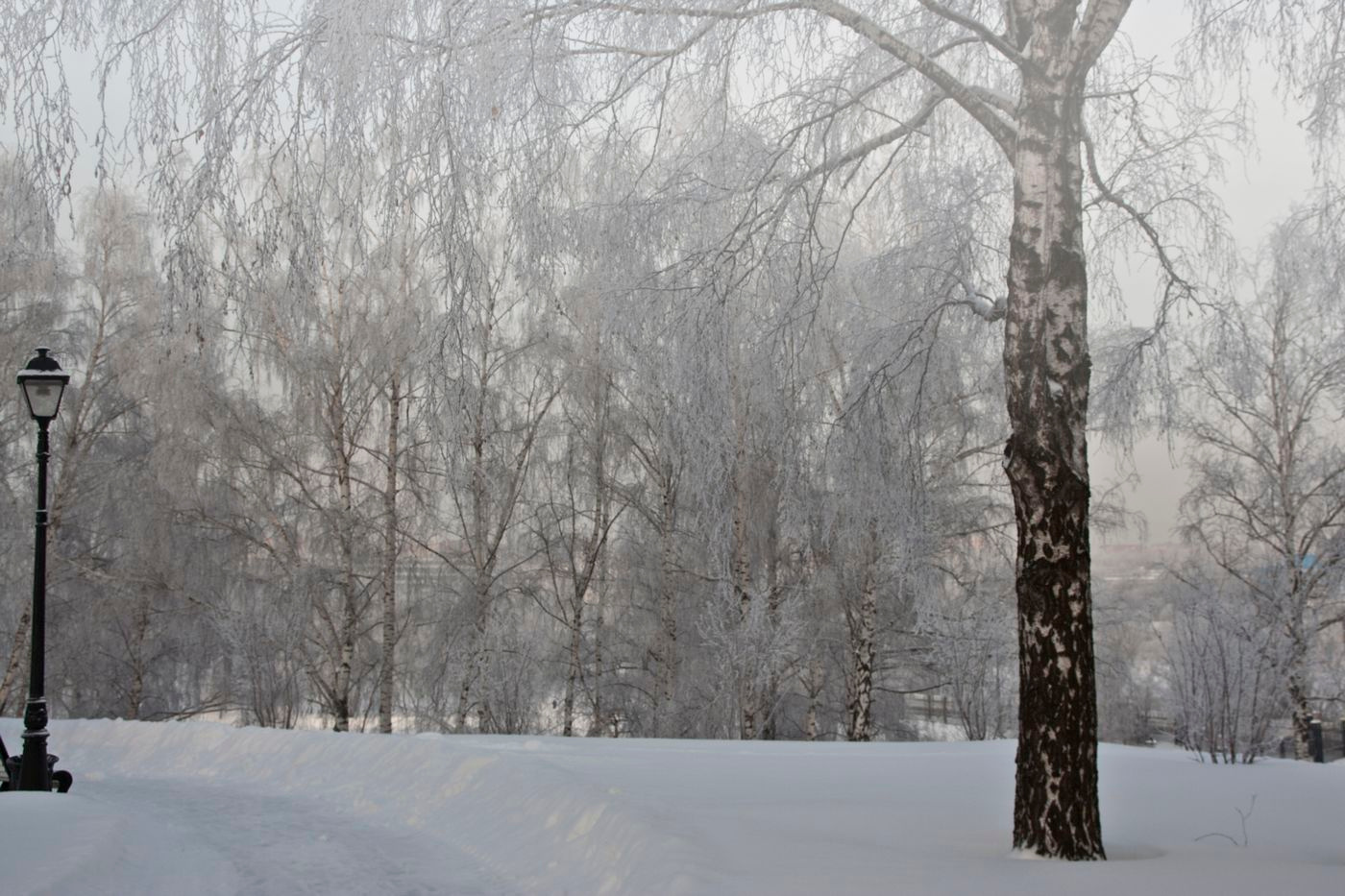 Среди городской суеты. 