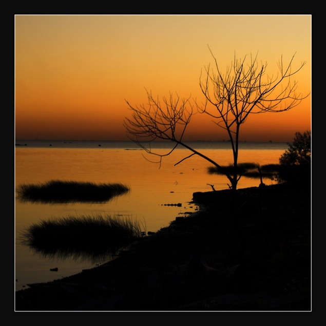 Silence финский, закат