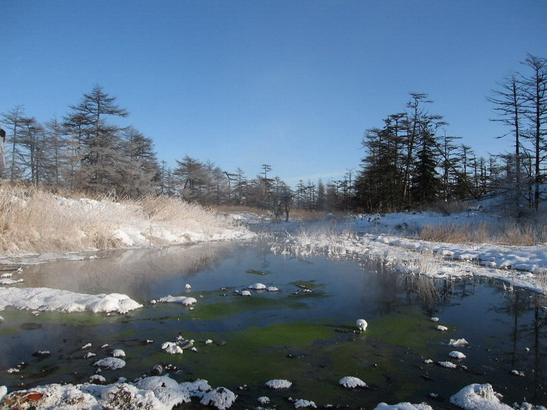 Горячие источники источники, мороз, снег, лес