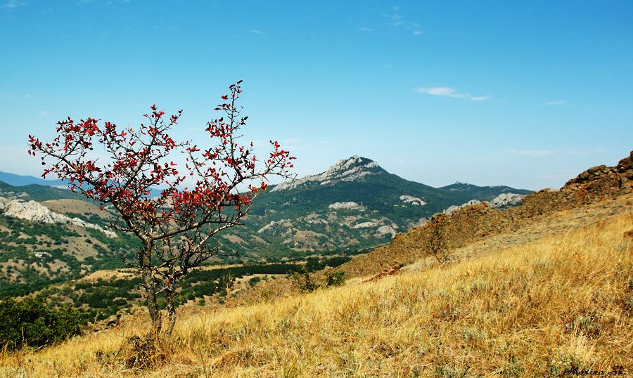 Осень начинается... Крым горы осень
