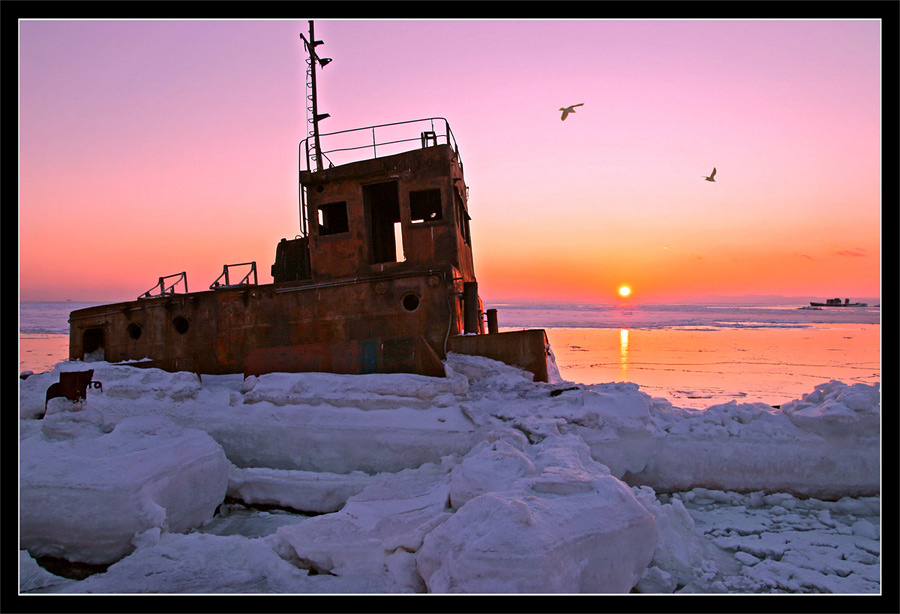 Флагман китобоев Островб одиночество, море, закат, чайки